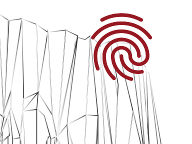 Caverne Pont d’Arc