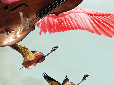 Violoncelles en Folie